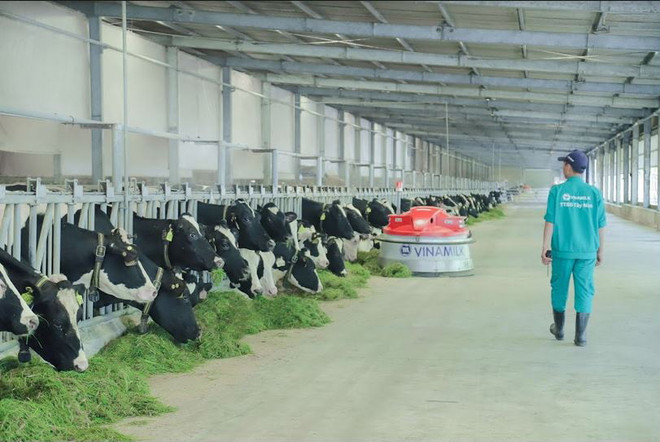 Tương lai nông nghiệp tiên tiến, bền vững: Vai trò tiên phong của DN ảnh 4