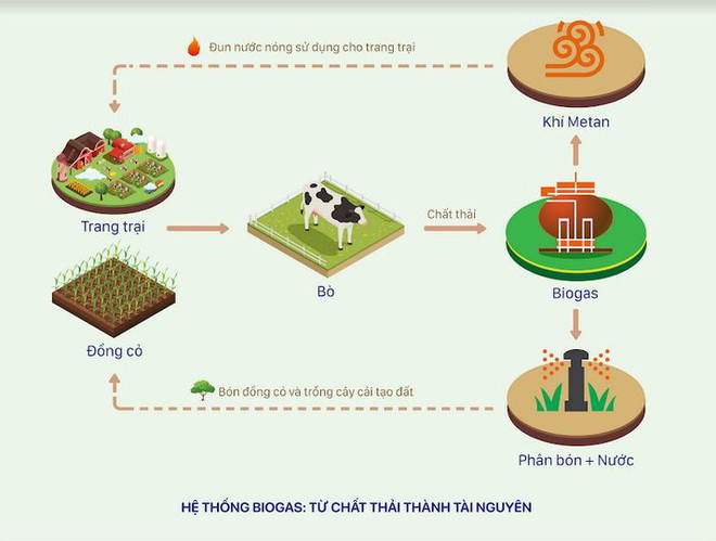 Tương lai nông nghiệp tiên tiến, bền vững: Vai trò tiên phong của DN ảnh 3