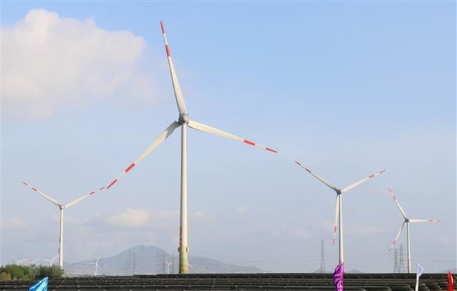 Du lịch Cà Mau sẵn sàng bứt phá: Khơi nguồn tiềm năng ảnh 3