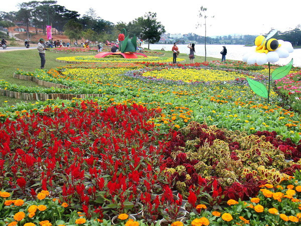 Phố hoa Đà Lạt, đại ngàn Tây Nguyên vẫy gọi khách gần xa ảnh 1