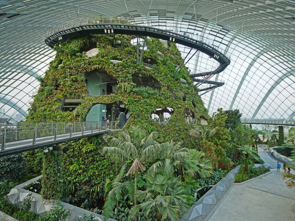 Lý Quang Diệu và câu chuyện từ cây con đến “thành phố trong vườn” ảnh 1