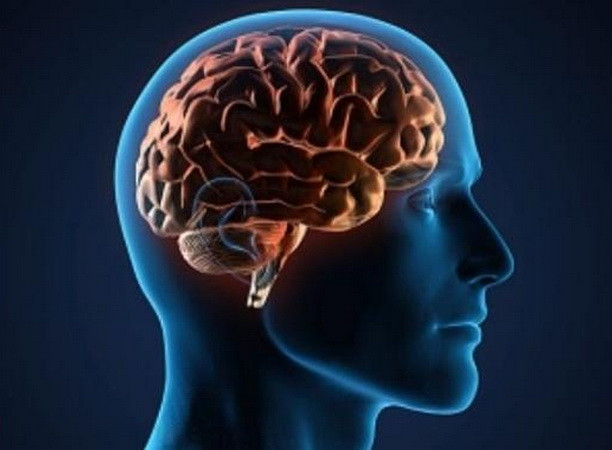 Virus SARS-CoV-2 tồn tại dai dẳng "hàng tháng" trong cơ thể người ảnh 1