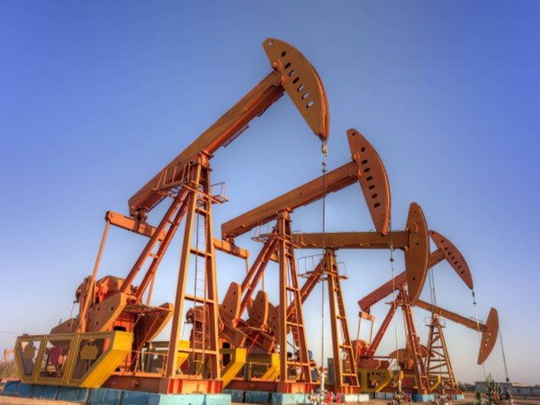 Sự kiện quốc tế tuần 21-27/12: Chưa thể giải mã hộp đen máy bay Su-24 ảnh 4