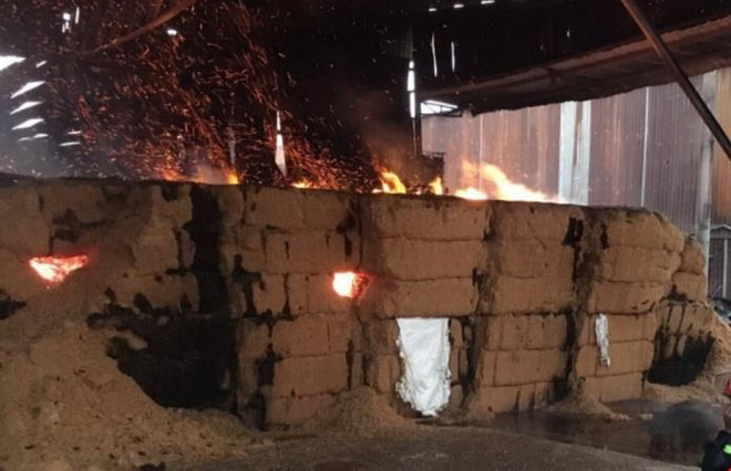 Bình Dương: Kịp thời khống chế vụ cháy tại thị xã Thuận An ảnh 1