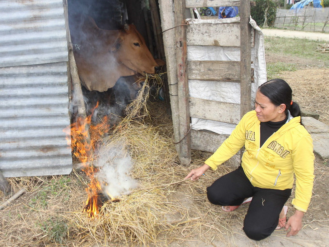 Rét đậm, rét hại sẽ khống chế thời tiết Bắc bộ trong hai ngày tới ảnh 1