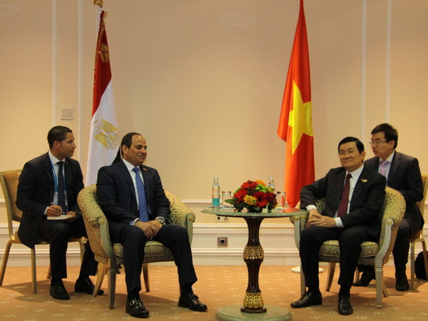 Tăng cường hơn quan hệ Đối tác chiến lược toàn diện Việt-Nga ảnh 2