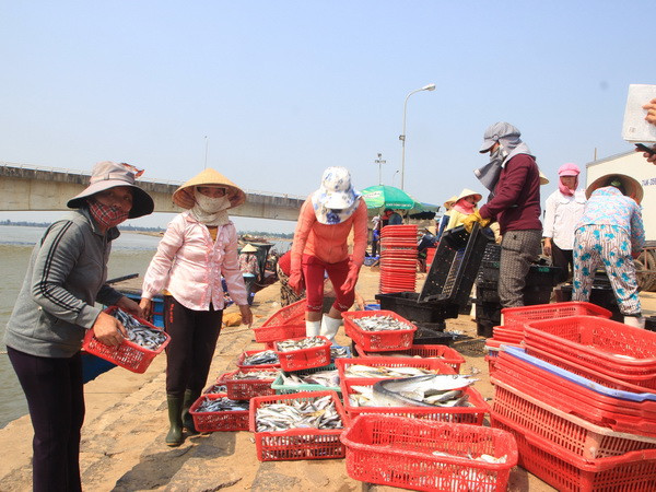 Giải đáp những khúc mắc giúp tiêu thụ hải sản đánh bắt an toàn ảnh 1