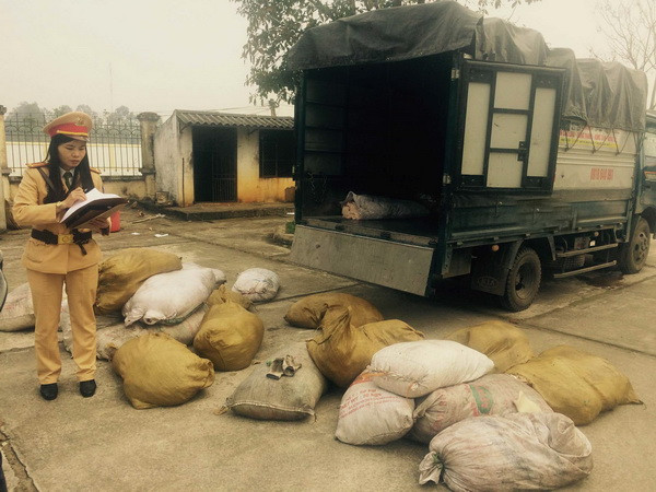 Thanh Hóa: Tạm giữ xe ôtô vận chuyển một tấn bì lợn bốc mùi hôi thối ảnh 1