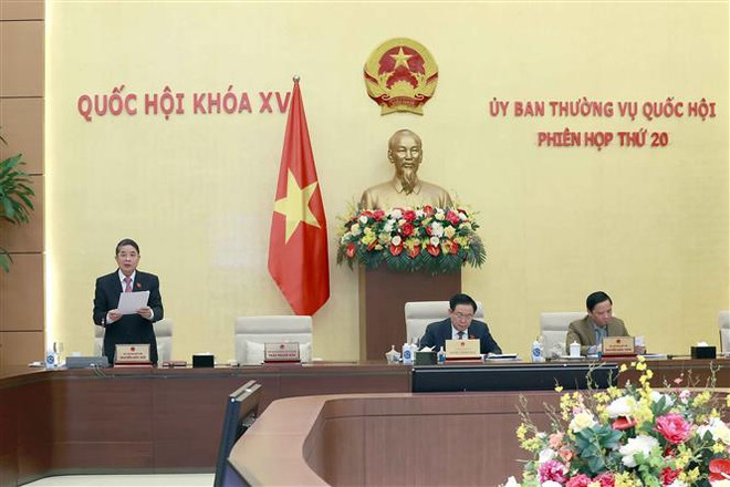 Đánh giá kỹ đặc thù khi sửa Luật Bảo vệ quyền lợi người tiêu dùng ảnh 4