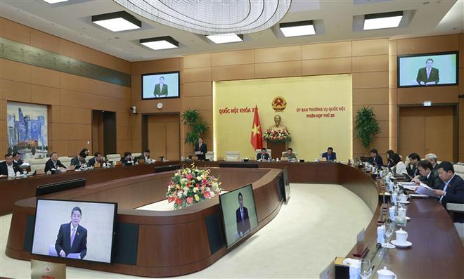 Đánh giá kỹ đặc thù khi sửa Luật Bảo vệ quyền lợi người tiêu dùng ảnh 2