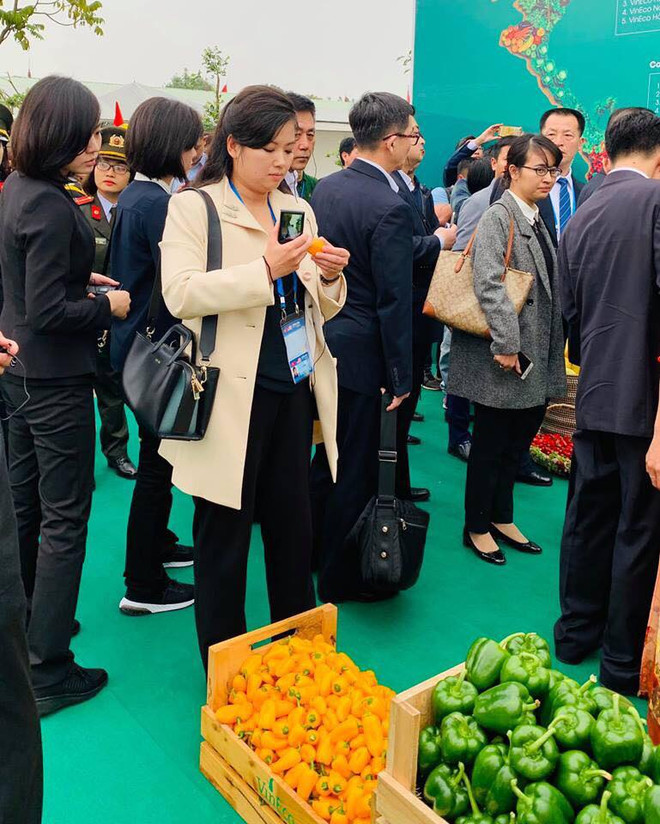 Nữ ca sĩ xinh đẹp trong đoàn Triều Tiên thăm công ty VinEco ảnh 4