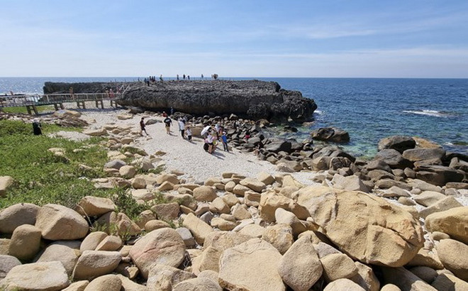 Ninh Thuận: Bảo tồn đa dạng sinh học gắn với du lịch sinh thái ảnh 2