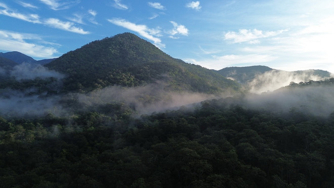 Ninh Thuận: Bảo tồn đa dạng sinh học gắn với du lịch sinh thái ảnh 1