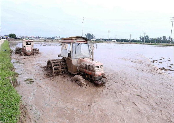 Gần 83% diện tích vụ Đông Xuân đã có nước cho gieo cấy ảnh 1