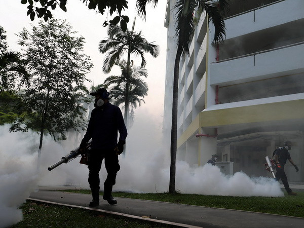 Gần 20 người Malaysia, Ấn Độ bị nhiễm virus Zika tại Singapore ảnh 1