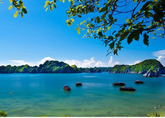 Bảo vệ rừng giúp bảo tồn, phát huy giá trị các khu dự trữ sinh quyển ảnh 1