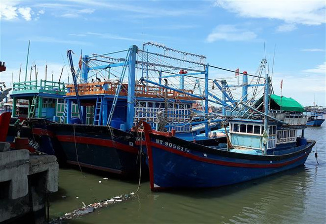 Tàu cá của ông Trần Đào (giữa, xã Phước Diêm, huyện Thuận Nam) hành nghề chụp đã nằm tại cảng Cà Ná hơn ba tháng vì hoạt động thua lỗ. (Ảnh: Nguyễn Thành/TTXVN) Bất cập trong triển khai Nghị định 67: Gỡ khó cho tàu vươn khơi ảnh 2