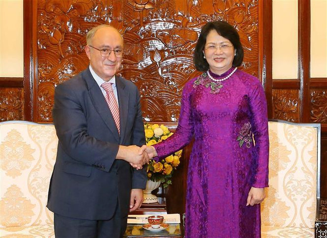 Phó Chủ tịch nước tiếp Chủ tịch Tổ chức hỗ trợ đại học thế giới Đức ảnh 1