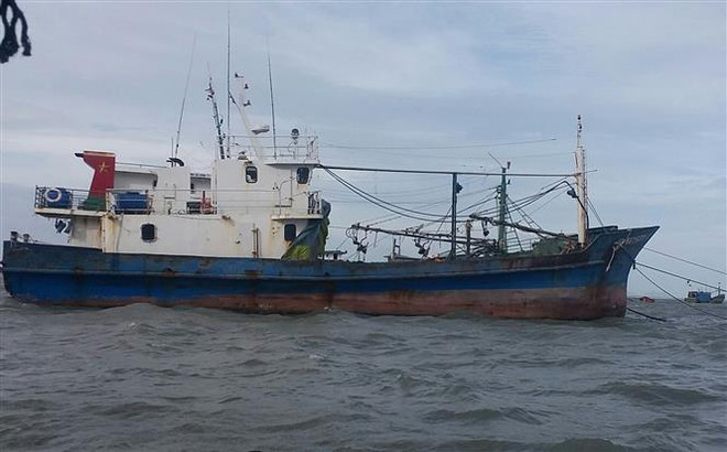 Tàu 67 của ông Phạm Ngọc Hoàng, phường 3, thành phố Vũng Tàu đã nằm bờ gần 1 năm nay. (Ảnh: Hoàng Nhị/TTXVN) Bất cập trong triển khai Nghị định 67: Gỡ khó cho tàu vươn khơi ảnh 1