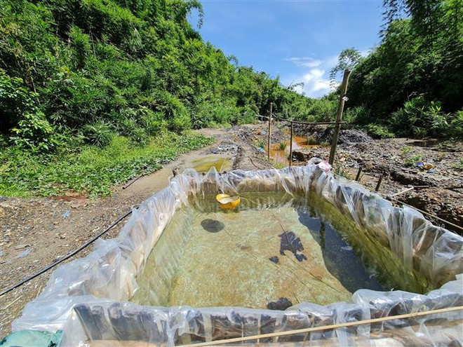 Nước mưa được tích trữ để phu vàng ăn uống, sinh hoạt tại chỗ. (Ảnh: Hưng Thịnh/TTXVN) Hiểm họa từ những hầm khai thác vàng không phép ở Đắk Nông ảnh 3