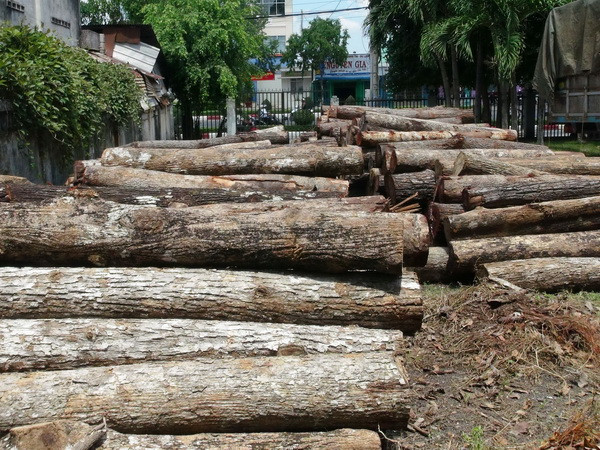 Tây Ninh liên tiếp bắt giữ nhiều vụ vận chuyển gỗ trái phép ảnh 1