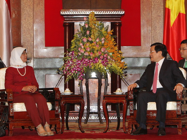 Việt Nam đánh giá cao vai trò quan trọng của Singapore ảnh 1