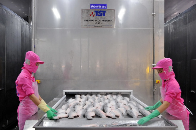 TPP - Tạo chuyển biến từ nguồn lực, tiếp cận công nghệ cao ảnh 1