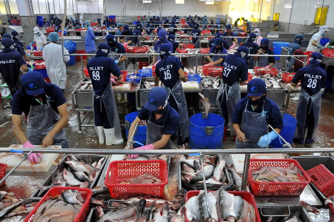 Tham gia TPP, Việt Nam khai thác tối đa mặt hàng chủ lực ảnh 1