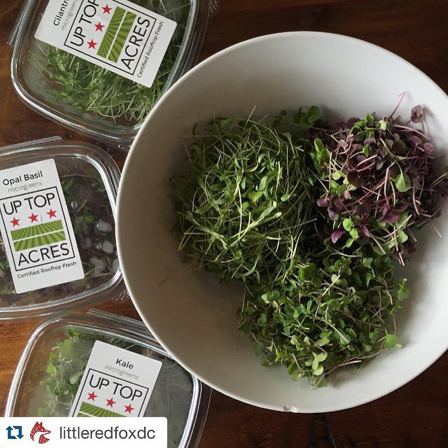 Nông nghiệp hóa các cao ốc giữa lòng thủ đô Washington D.C ảnh 5