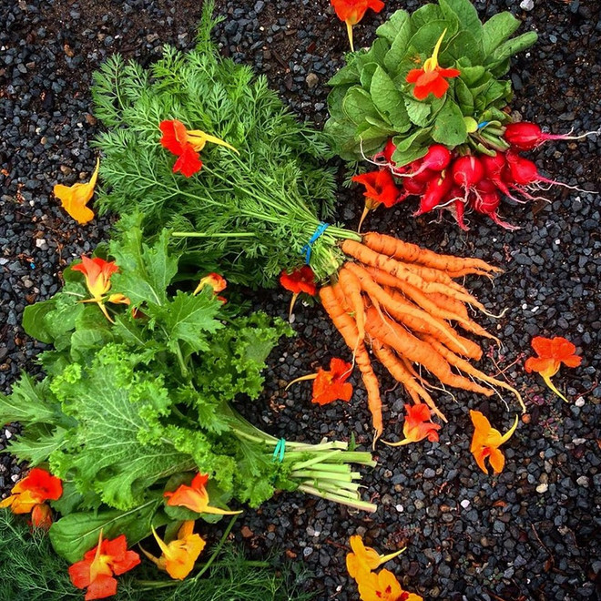 Nông nghiệp hóa các cao ốc giữa lòng thủ đô Washington D.C ảnh 3