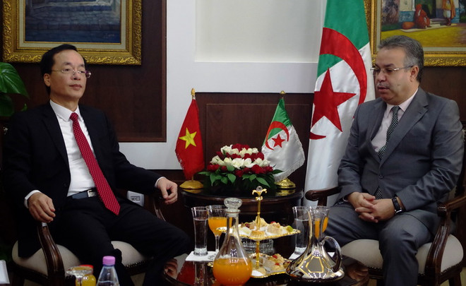 Việt Nam và Algeria tăng cường hợp tác trong xây dựng và nhà ở ảnh 1