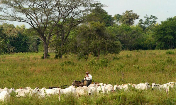 Venezuela phải trả gần 100 triệu USD cho ​một công ty Anh ảnh 1