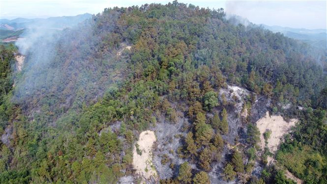 Thừa Thiên-Huế: Cơ bản khống chế vụ cháy rừng thông hơn 30 năm tuổi ảnh 1