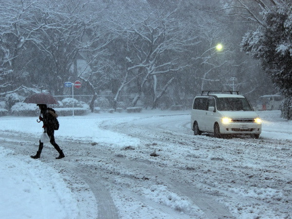 Mưa tuyết kỷ lục quét qua Nhật Bản gây thương vong lớn ảnh 1