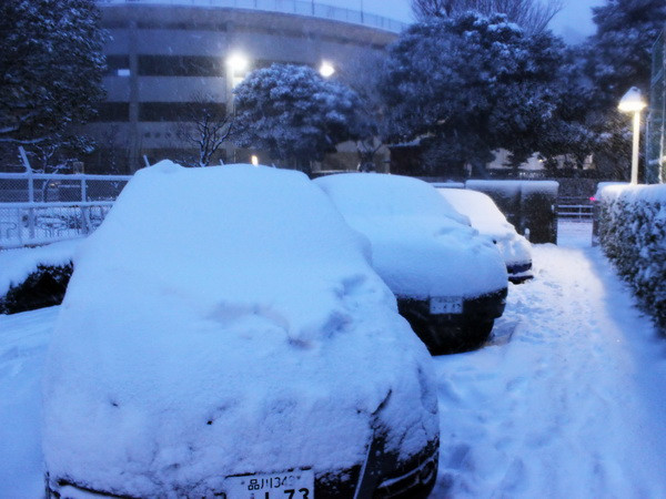 Mưa tuyết kỷ lục quét qua Nhật Bản gây thương vong lớn ảnh 6