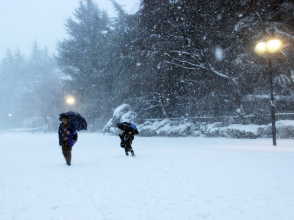 Mưa tuyết kỷ lục quét qua Nhật Bản gây thương vong lớn ảnh 4