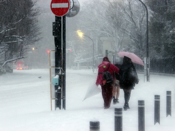 Mưa tuyết kỷ lục quét qua Nhật Bản gây thương vong lớn ảnh 2