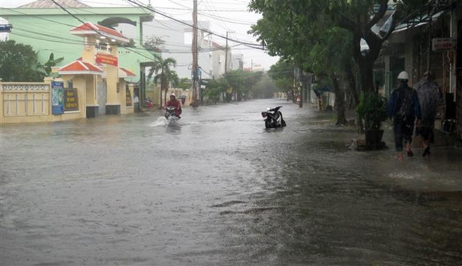 Phú Yên, Khánh Hòa có mưa lớn, gió giật mạnh, nhiều nơi mất điện ảnh 1