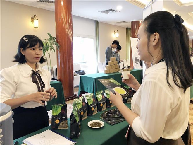 Lượng truy cập sàn thương mại điện tử đạt 3,5 triệu lượt mỗi ngày ảnh 2