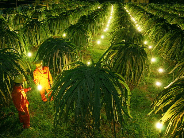 Cả nước tiết kiệm hơn 2 tỷ kWh điện trong chín tháng qua ảnh 1