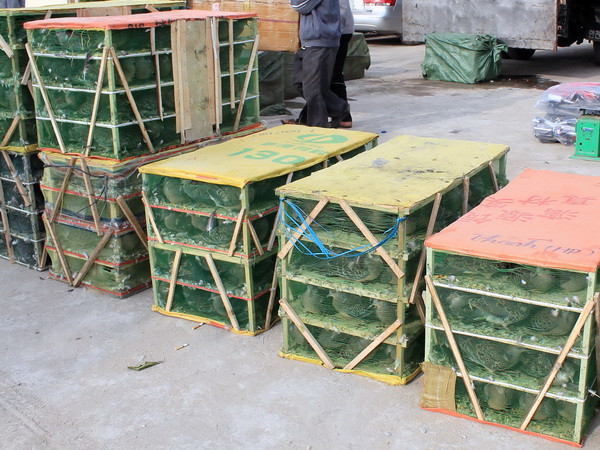 Bắt giữ hơn 200kg ba ba cùng nhiều hàng hóa Trung Quốc nhập lậu ảnh 1