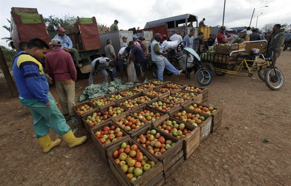 Cuba quyết tâm mở thị trường bán sỉ sản phẩm lương thực ảnh 1
