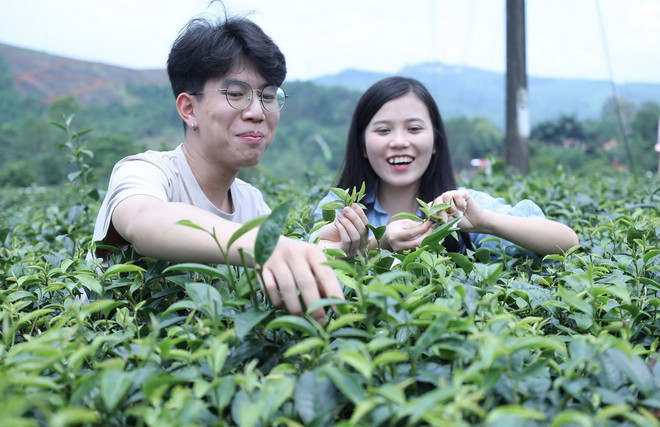 ttxvn_du lich nong nghiep (3).jpg