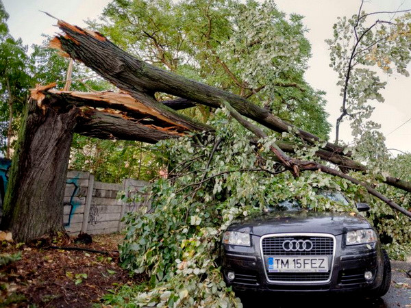 Bão mạnh bất ngờ tràn vào Romania làm 8 người thiệt mạng ảnh 1
