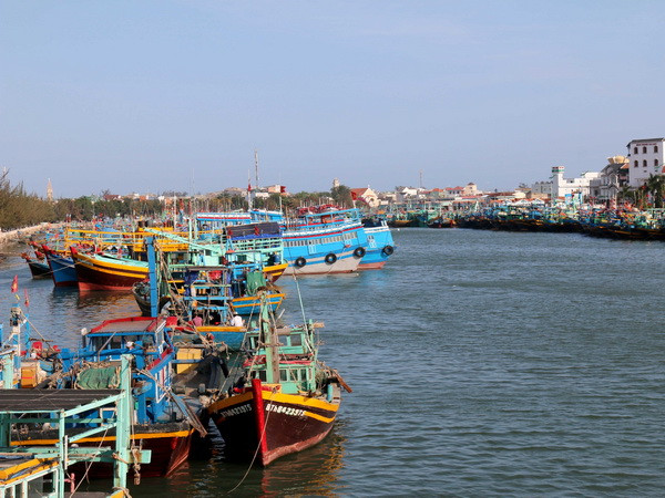 Sẽ thu hồi vĩnh viễn giấy phép hoạt động của tàu cá vi phạm ảnh 1