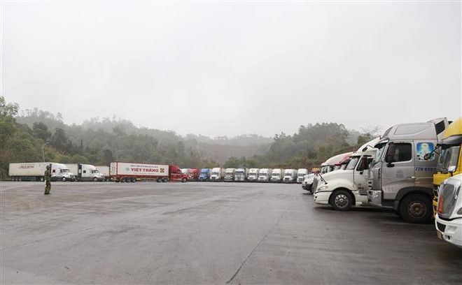 Giảm ùn ứ nông sản tại các cửa khẩu khi nông sản vào vụ ảnh 2
