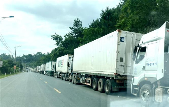 Giảm ùn ứ nông sản tại các cửa khẩu khi nông sản vào vụ ảnh 3