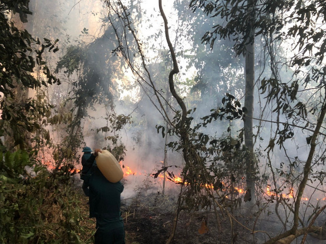 ttxvn_0505_chay rung tay ninh (1).jpg