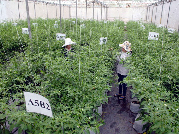 Đối thoại doanh nghiệp ngành nông nghiệp Việt Nam-Nhật Bản ảnh 1