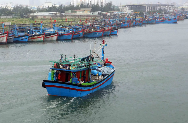 Ngư dân Cà Mau vui mừng vì trúng đậm chuyến biển đầu năm ảnh 1